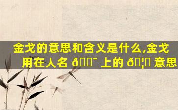 金戈的意思和含义是什么,金戈用在人名 🐯 上的 🦈 意思